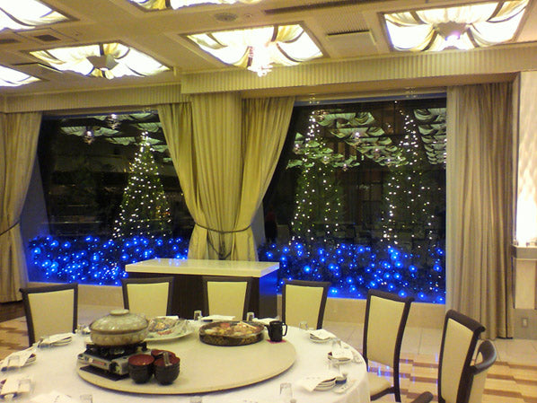 2010年12月 高知県 LEDイルミネーション