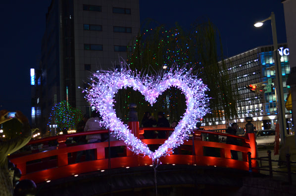 2011年12月 特注 はりまや橋公園 LEDイルミネーション