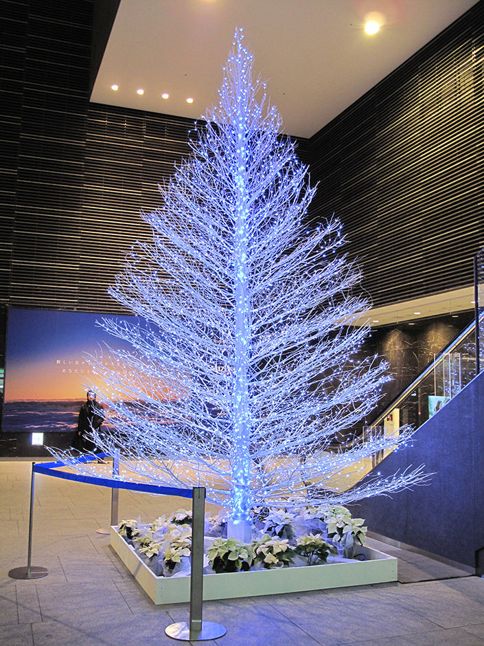 2012年12月 東京ソラマチ 地下3階 押上駅エントランス クリスマスツリー 高さ 約5m