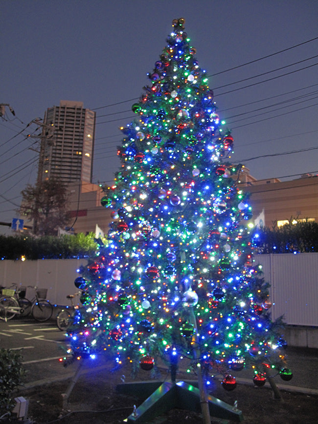 2014年11月 東京都東雲 高さ 約4m クリスマスツリー