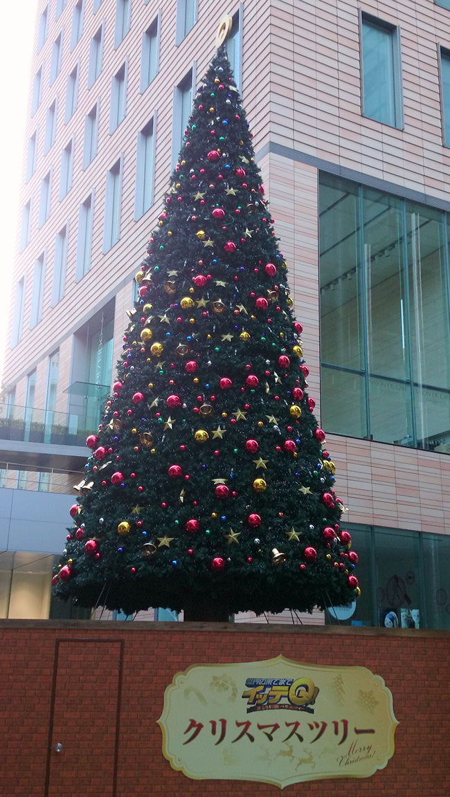 2014年12月 日本テレビ「世界の果てまでイッテQ」 クリスマスツリー 高さ 約13m