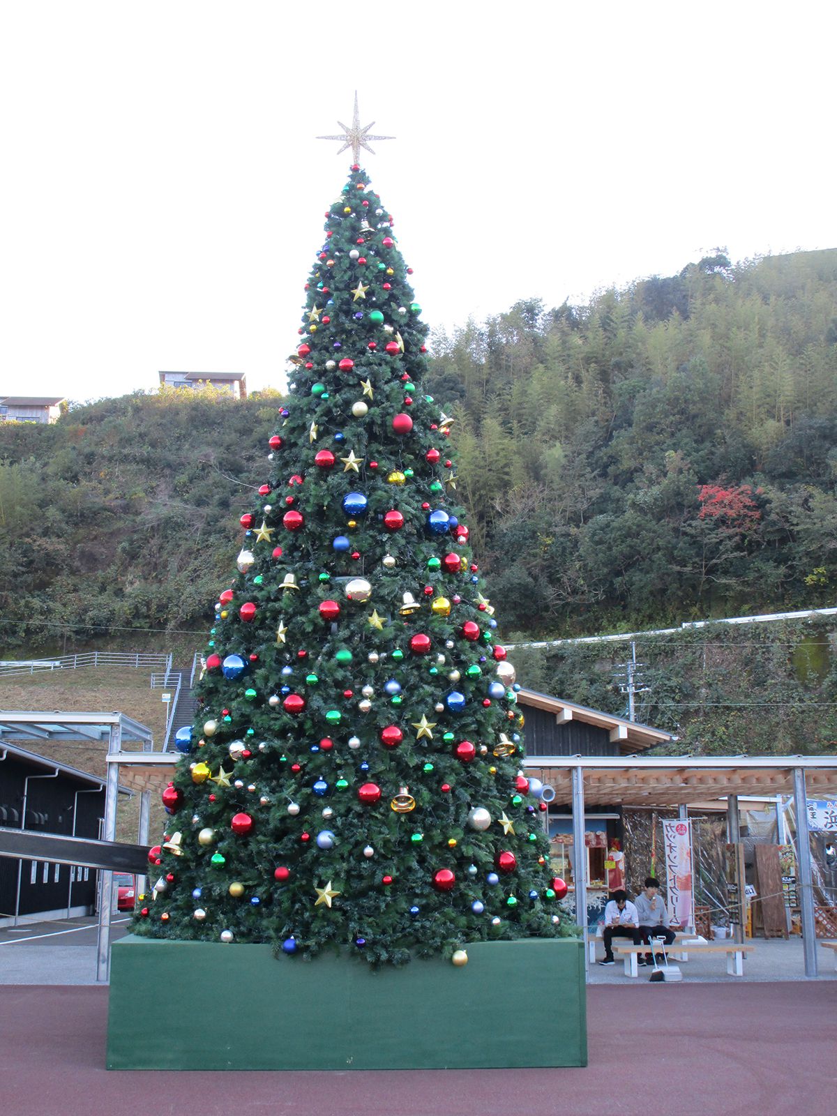 2018年11月 高知県 道の駅なかとさ クリスマスツリー 11m