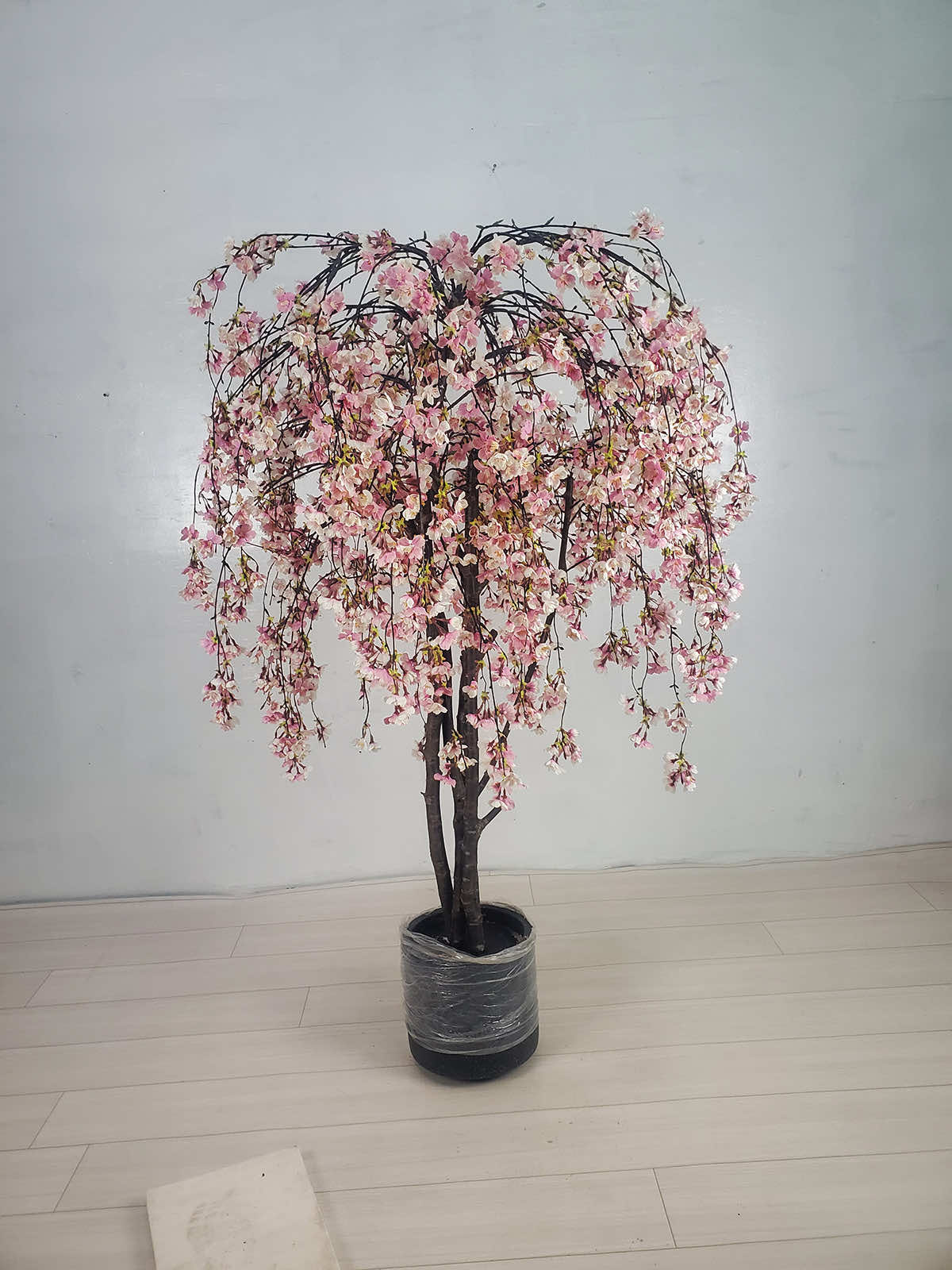 2024年2月山梨県 ホテル様 人工桜 1.6m