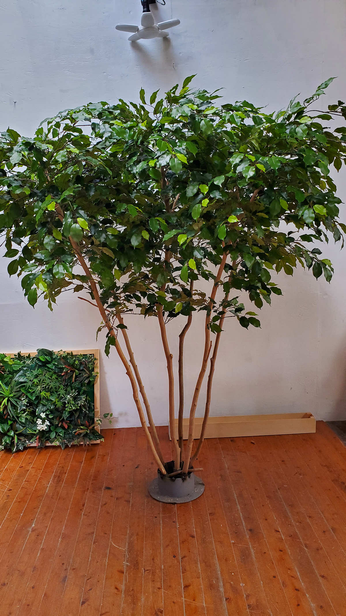 2024年7月東京都 企業様 人工樹木