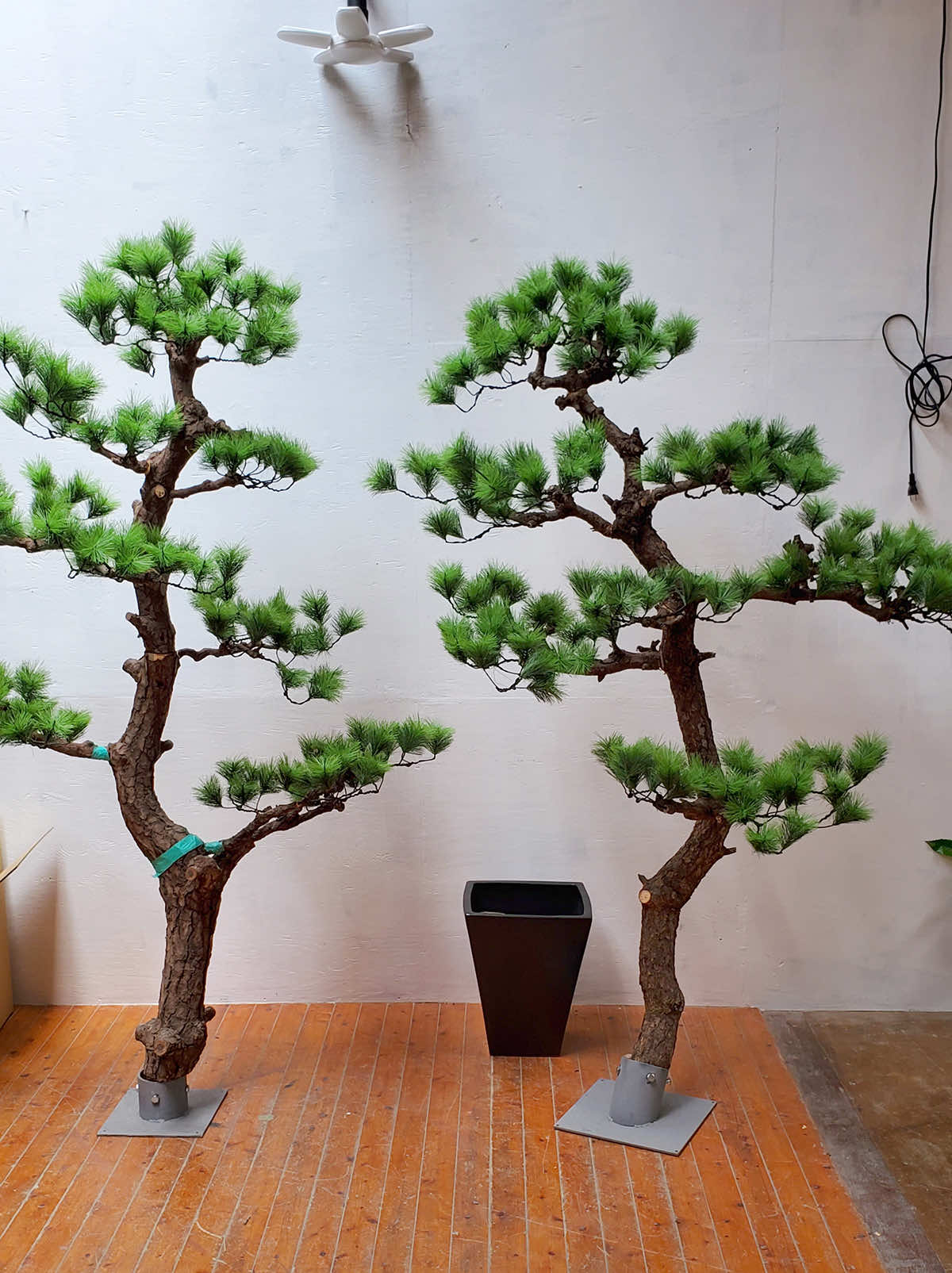 2024年7月京都府 商業施設様 人工松