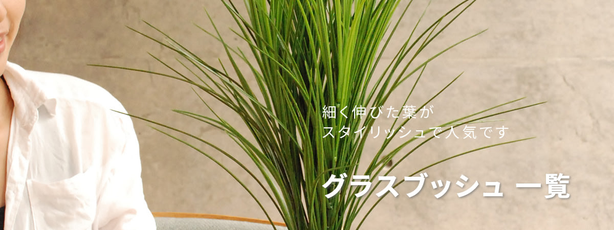 グラスブッシュ