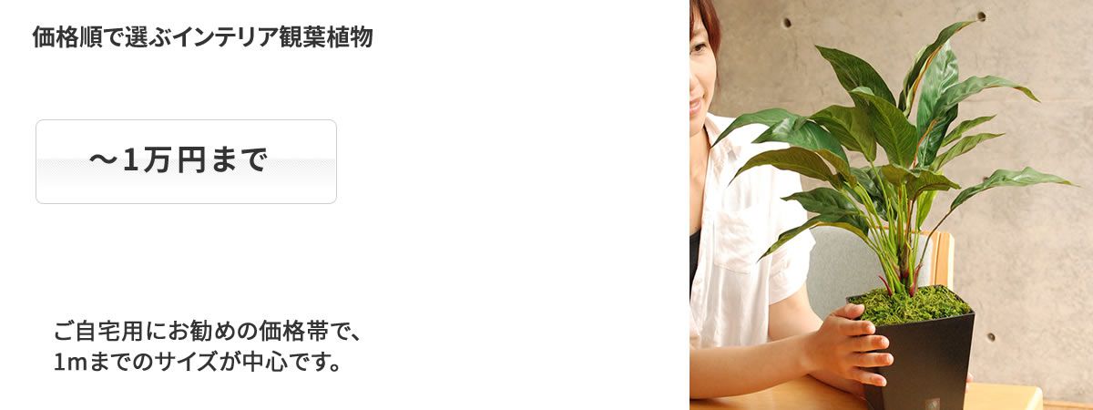 価格別 1万円まで