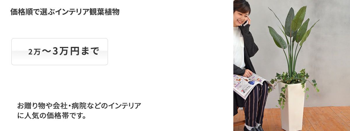 価格別 2万円~3万円