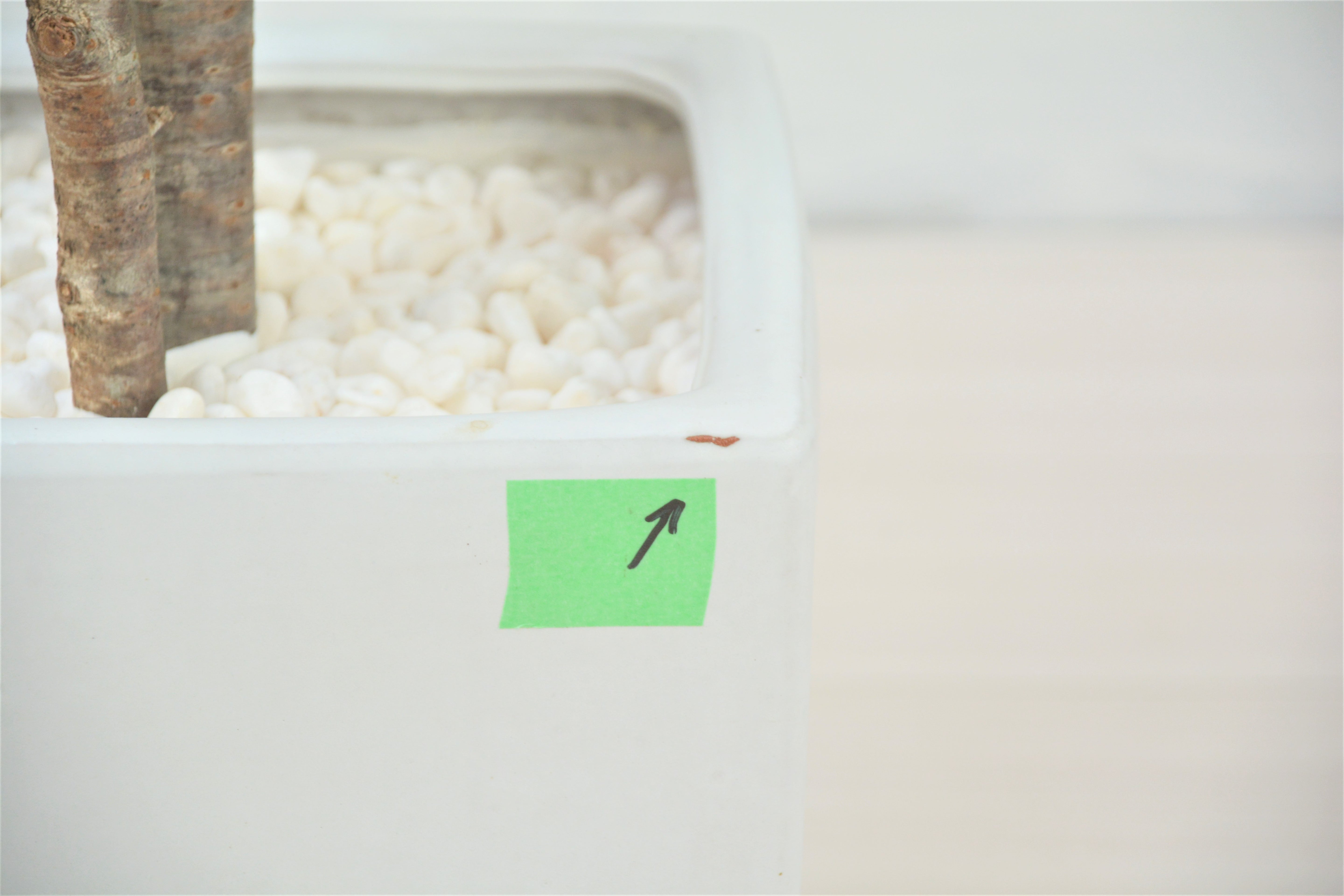 しだれ桜(1点物)