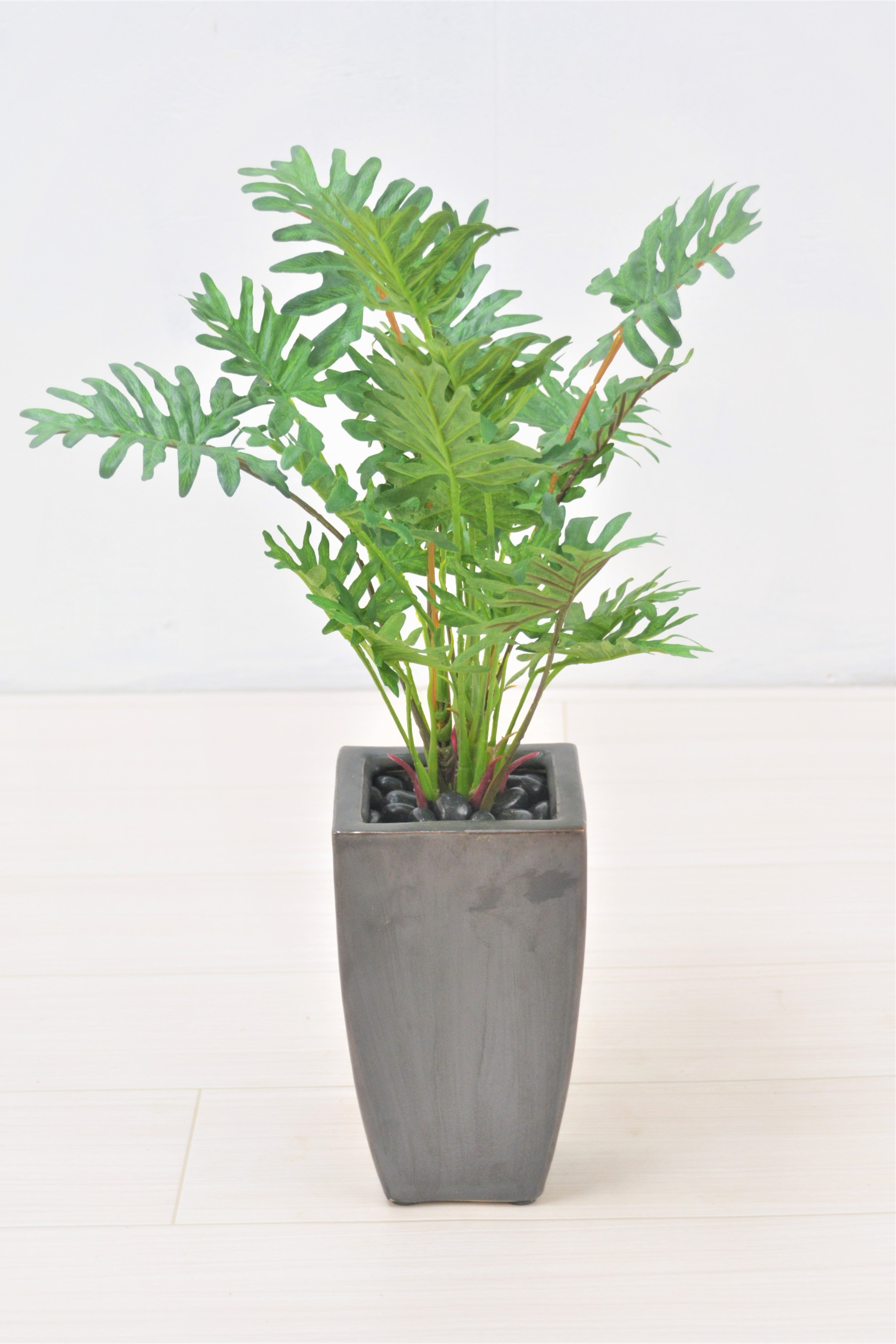 スプリットフィロ(1点物)