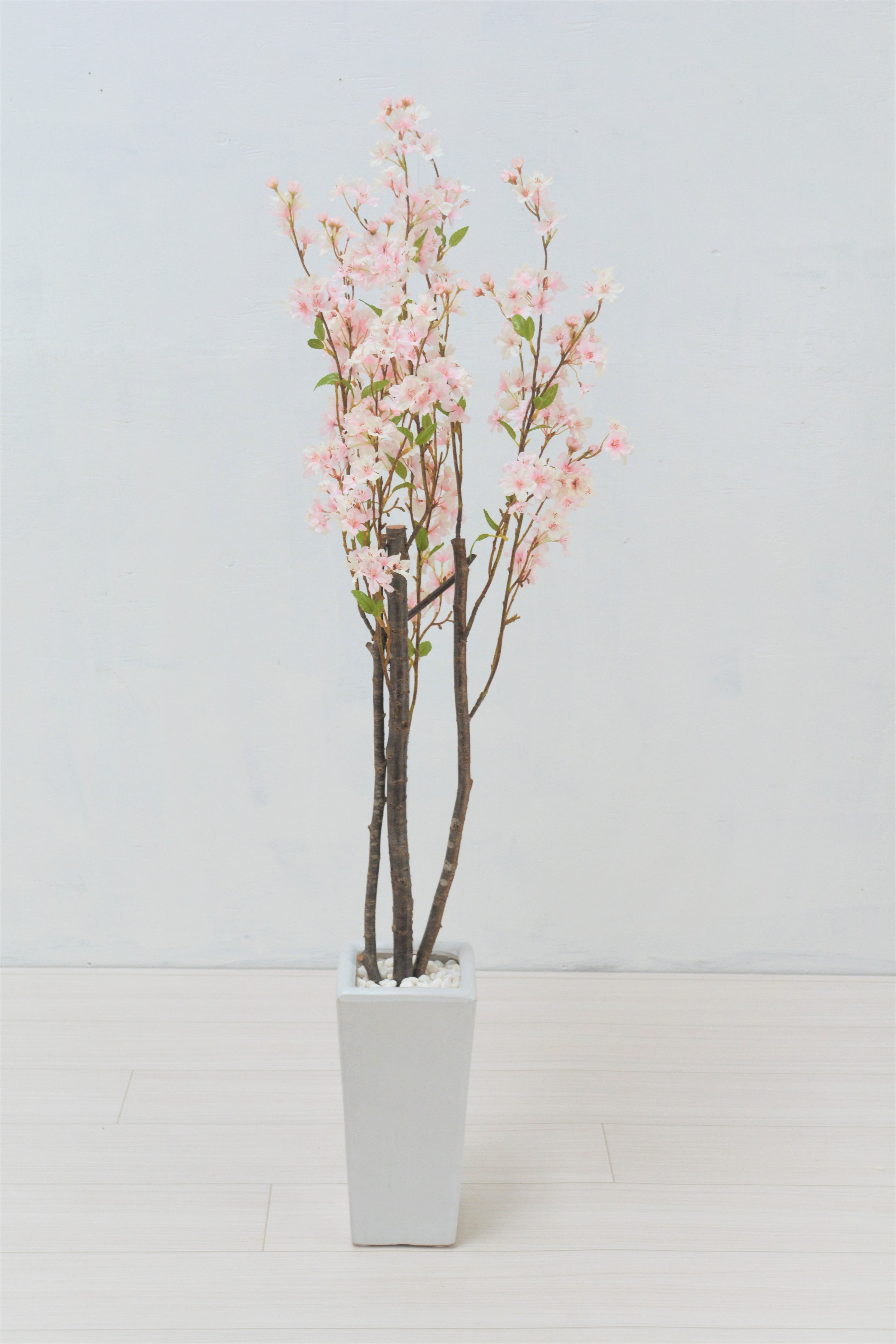 桜(1点物)