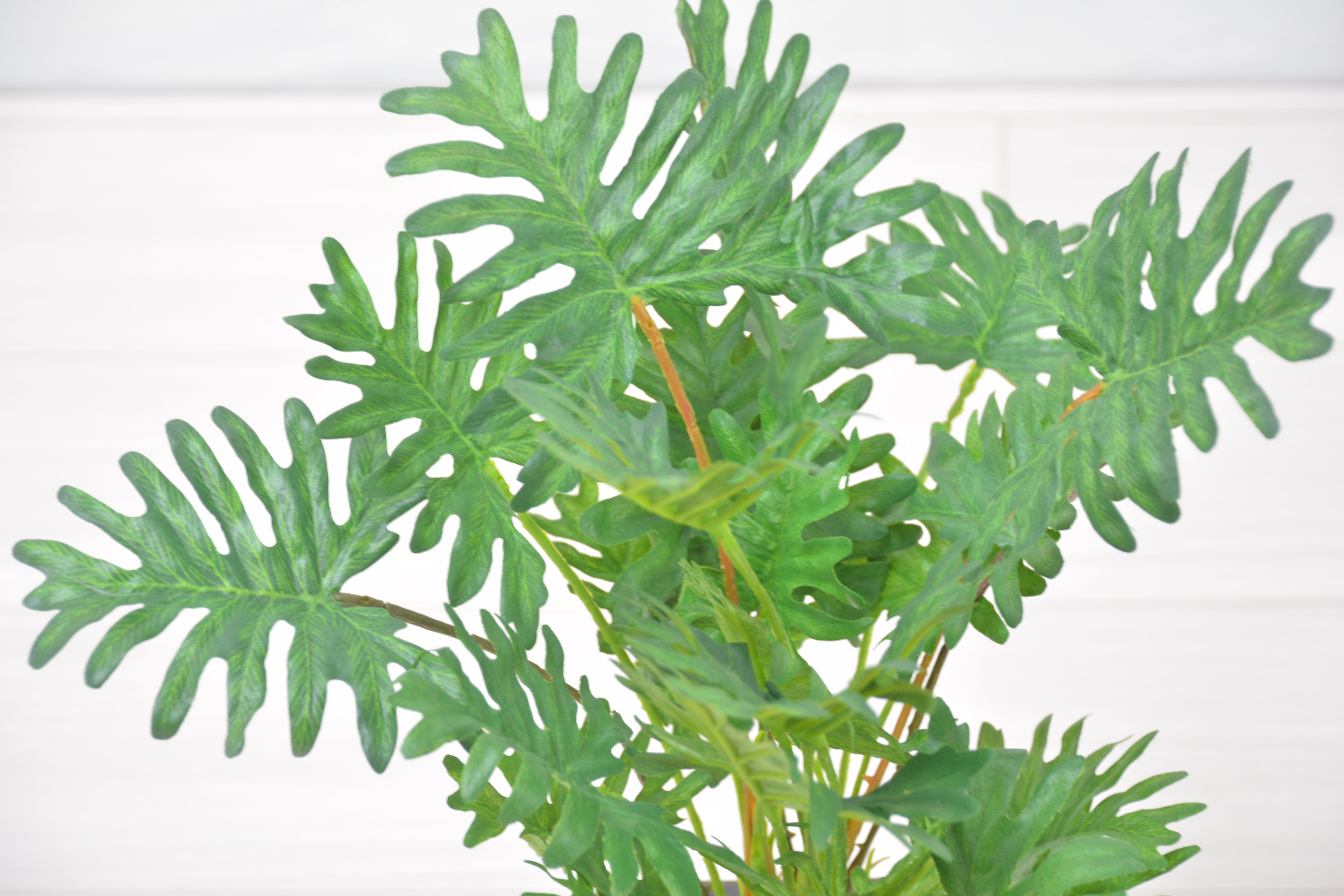 スプリットフィロ(1点物)