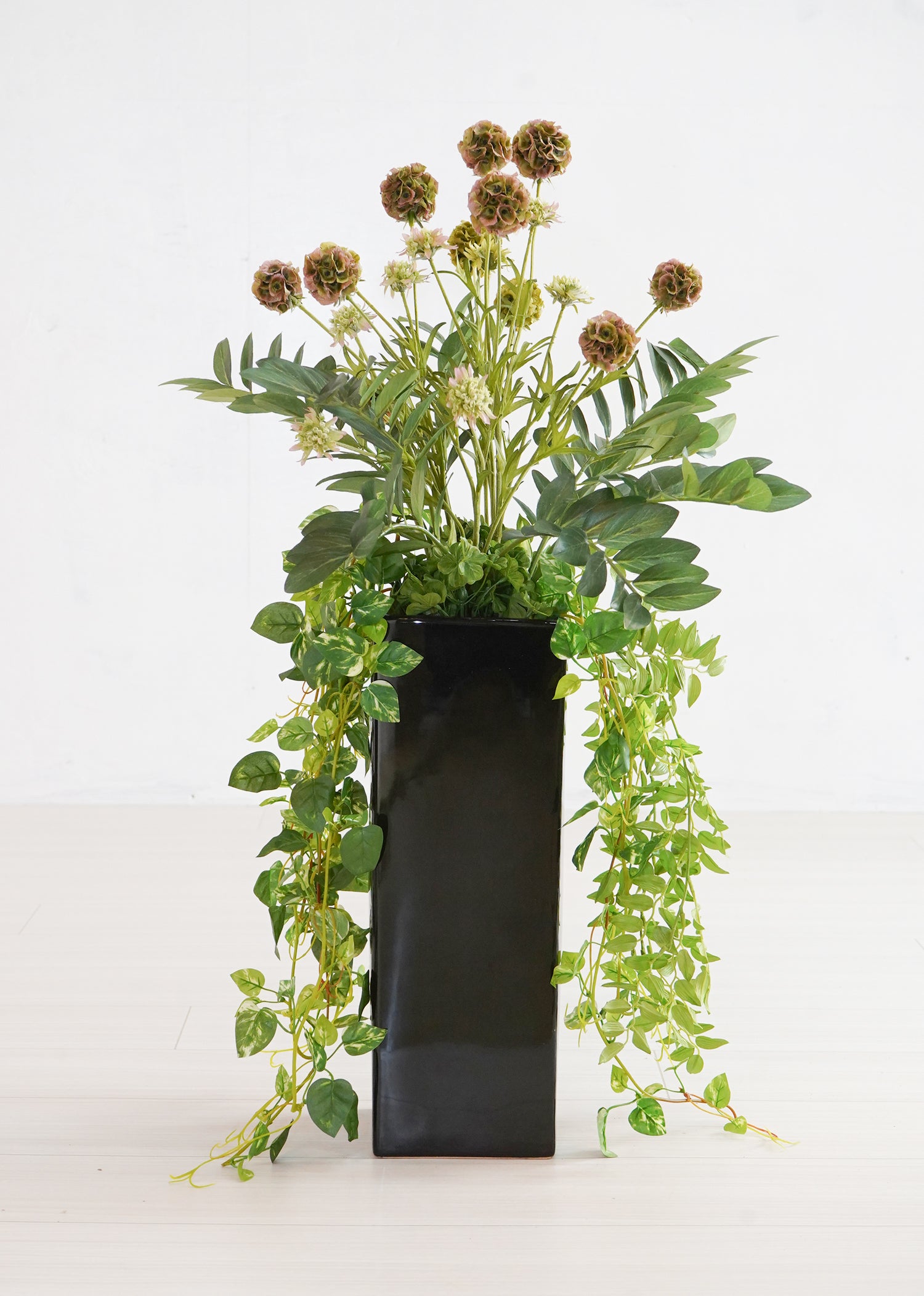 ポトス・ザミオ(1点物)