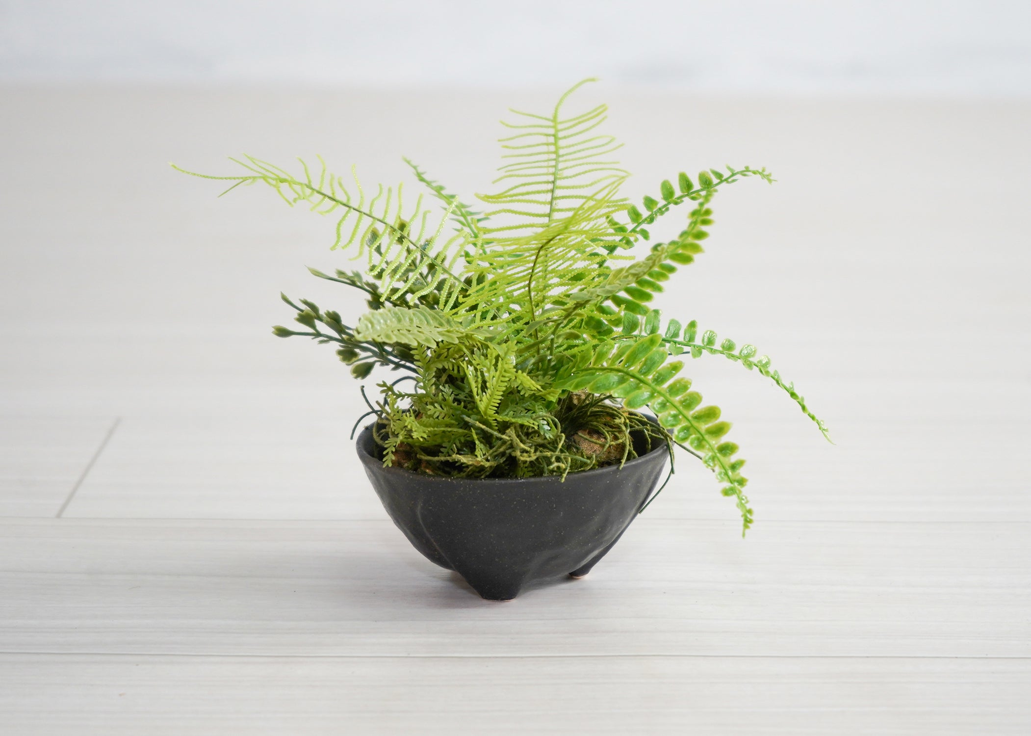 ファーン(1点物)