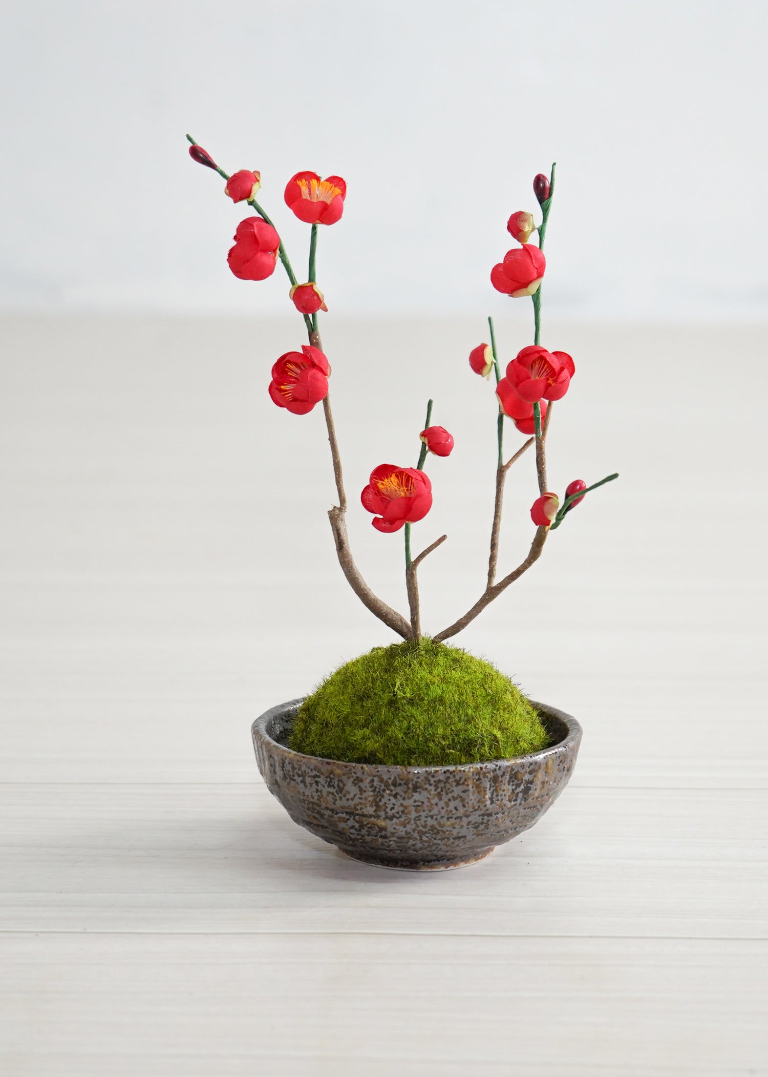 こけ玉・梅(1点物)