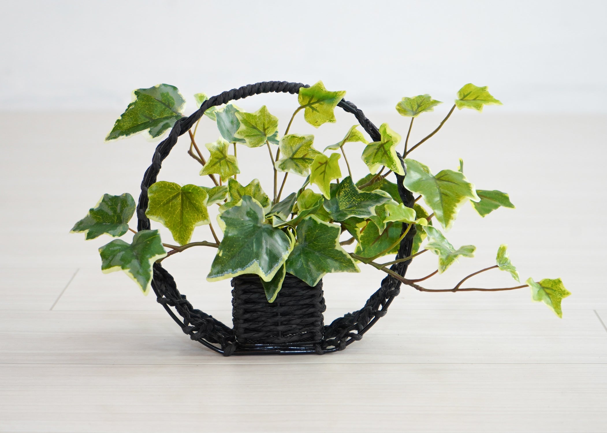 アイビー(1点物)