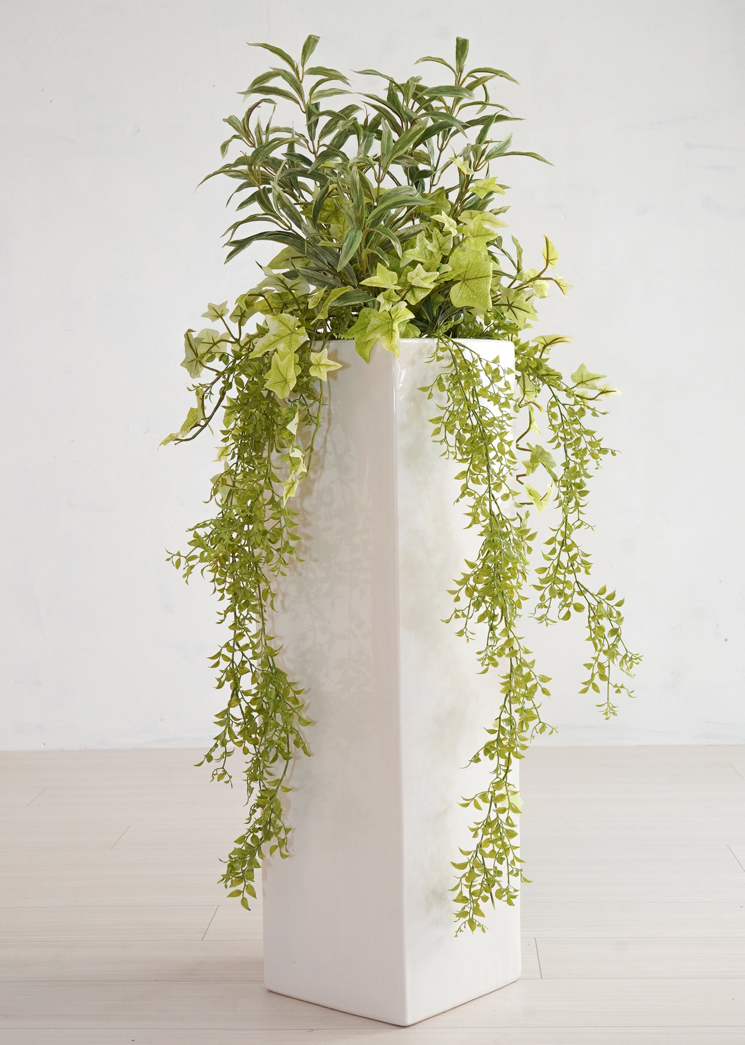 ドラセナ(1点物)