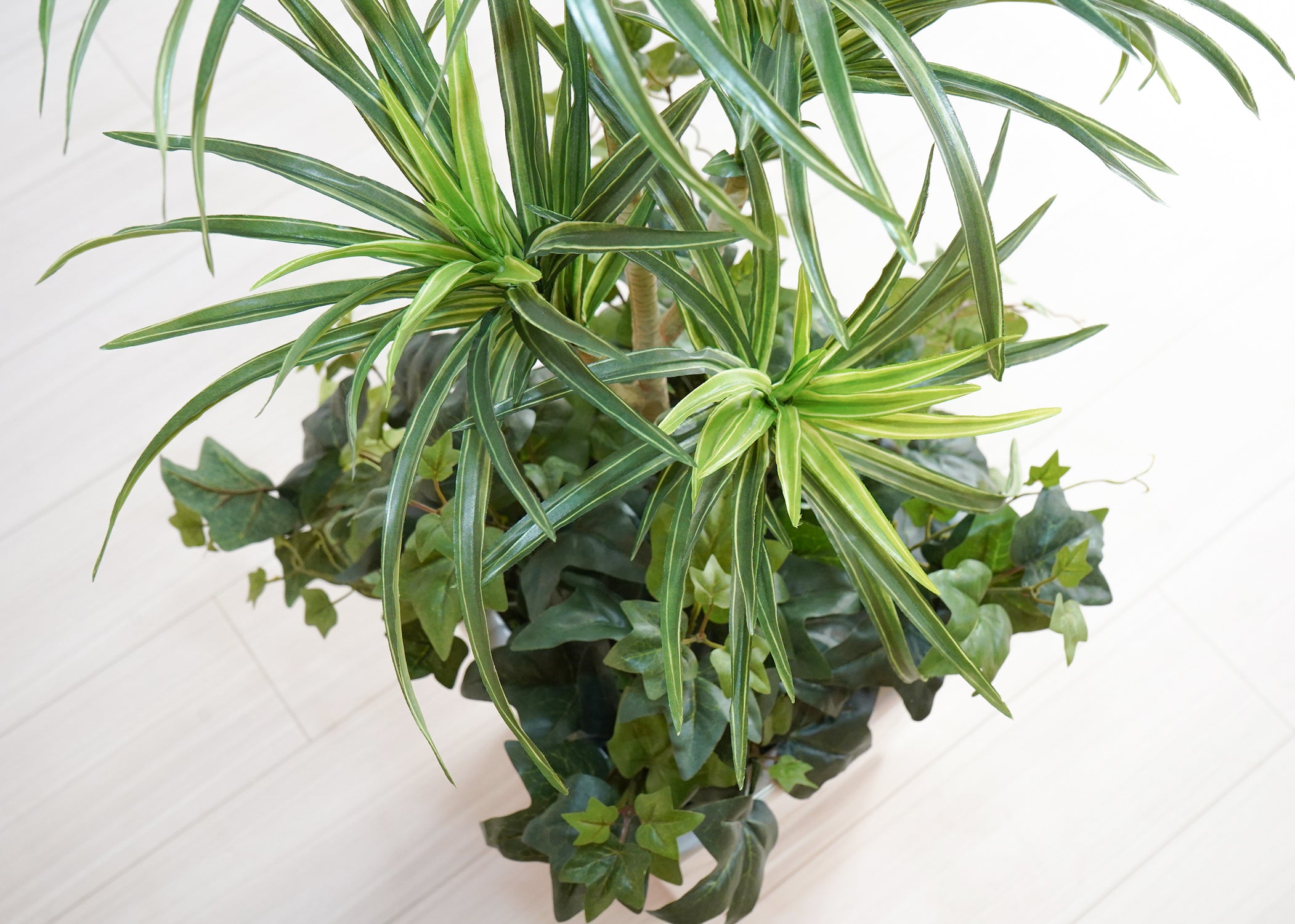 アイビー(1点物)