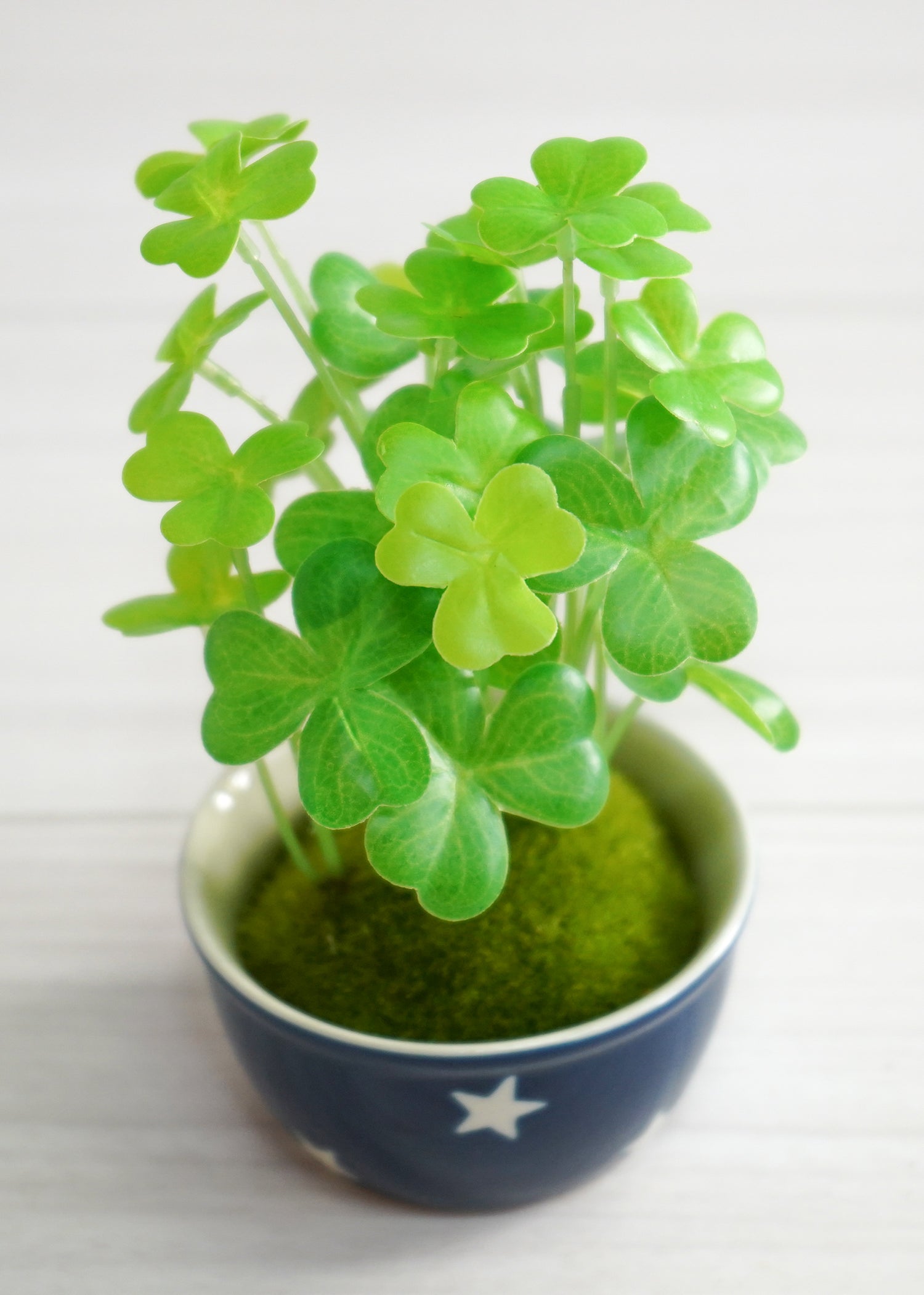 クローバー(1点物)