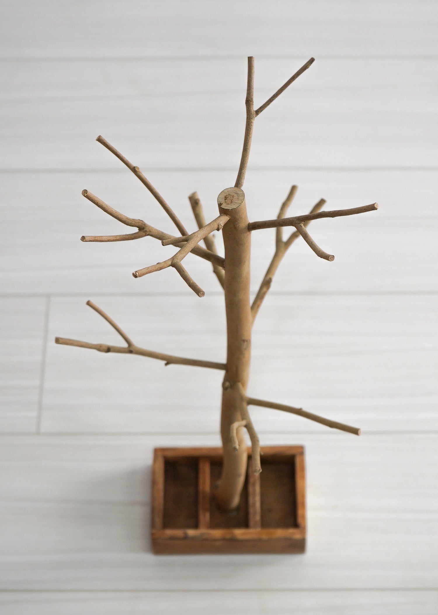 自然木ツリー(1点物)