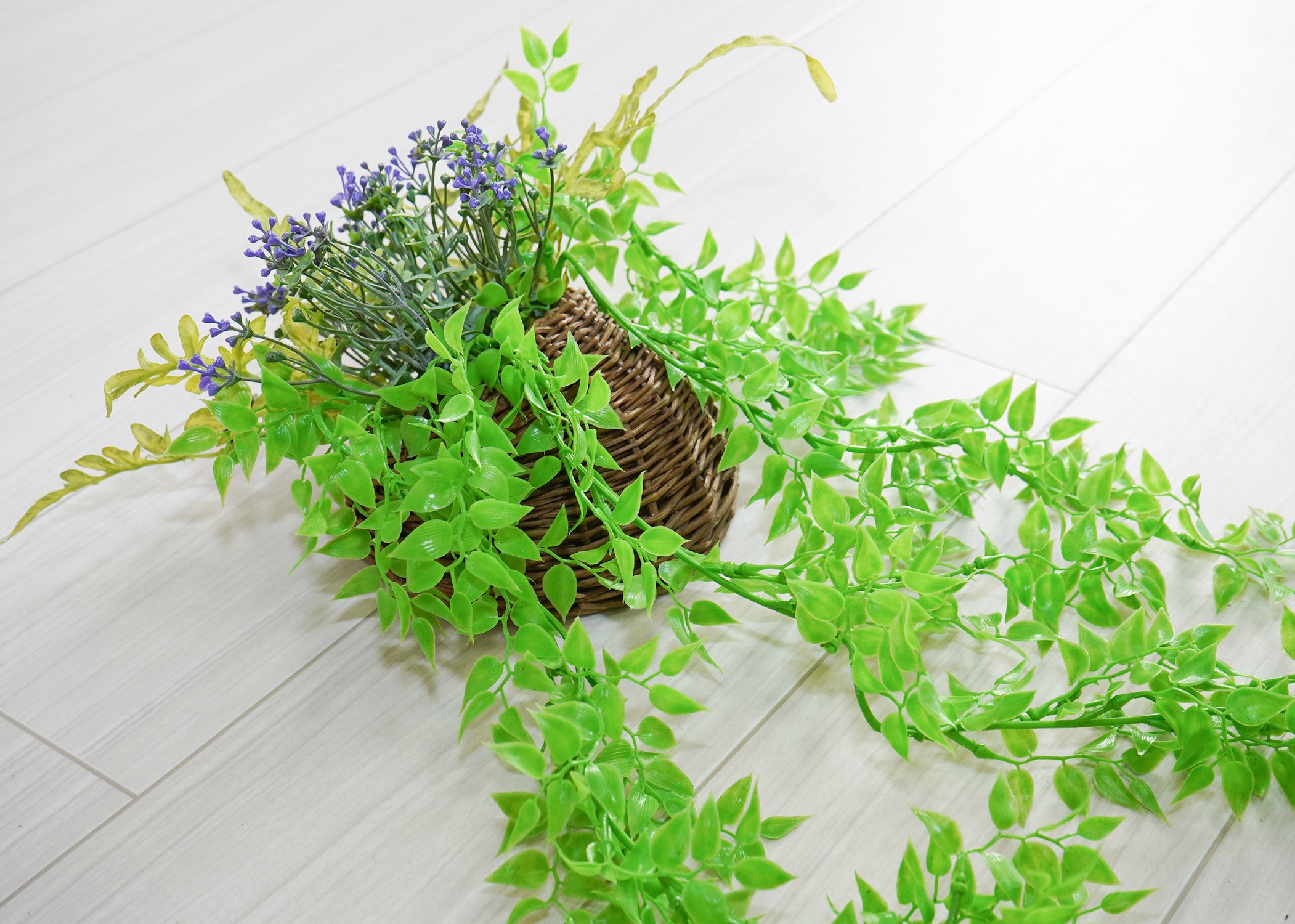 スマイラックス(1点物)