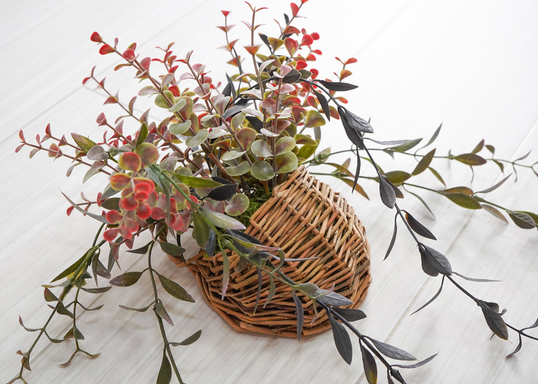 壁掛けユーカリ(1点物)