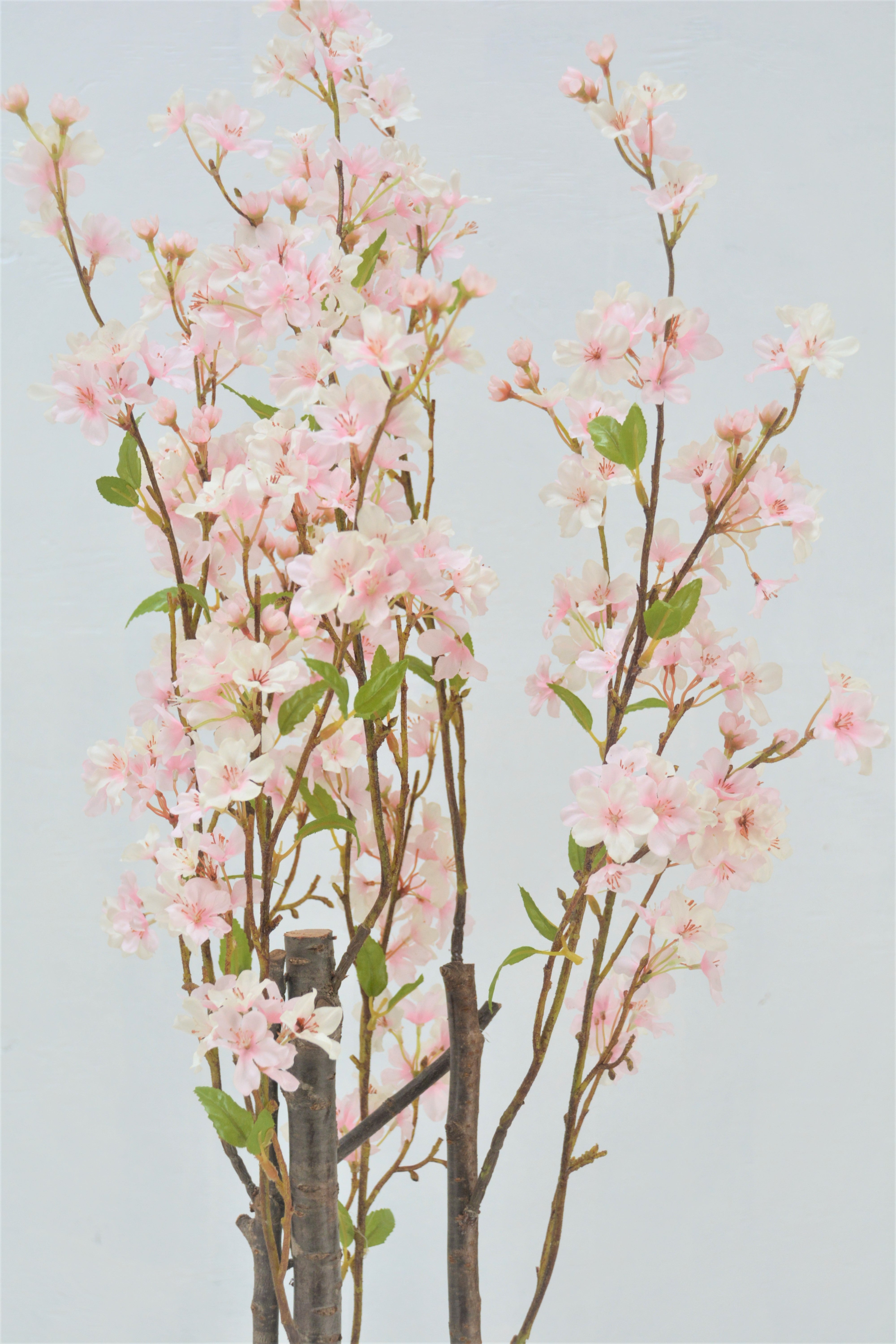 桜(1点物)