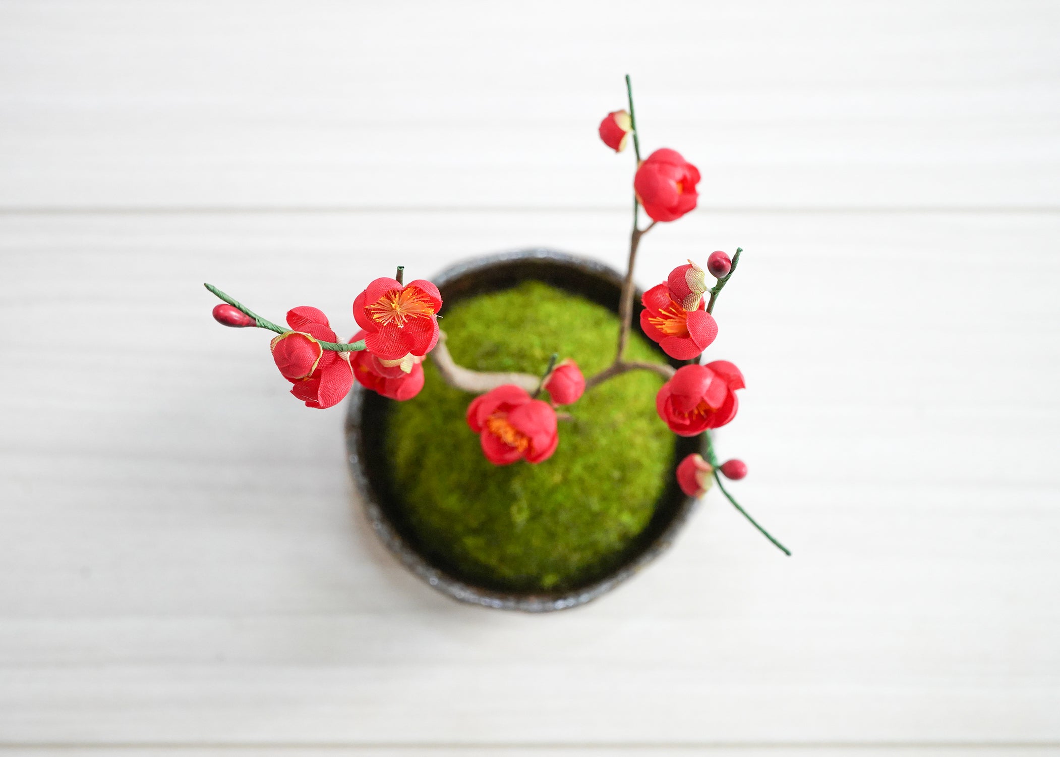 こけ玉・梅(1点物)