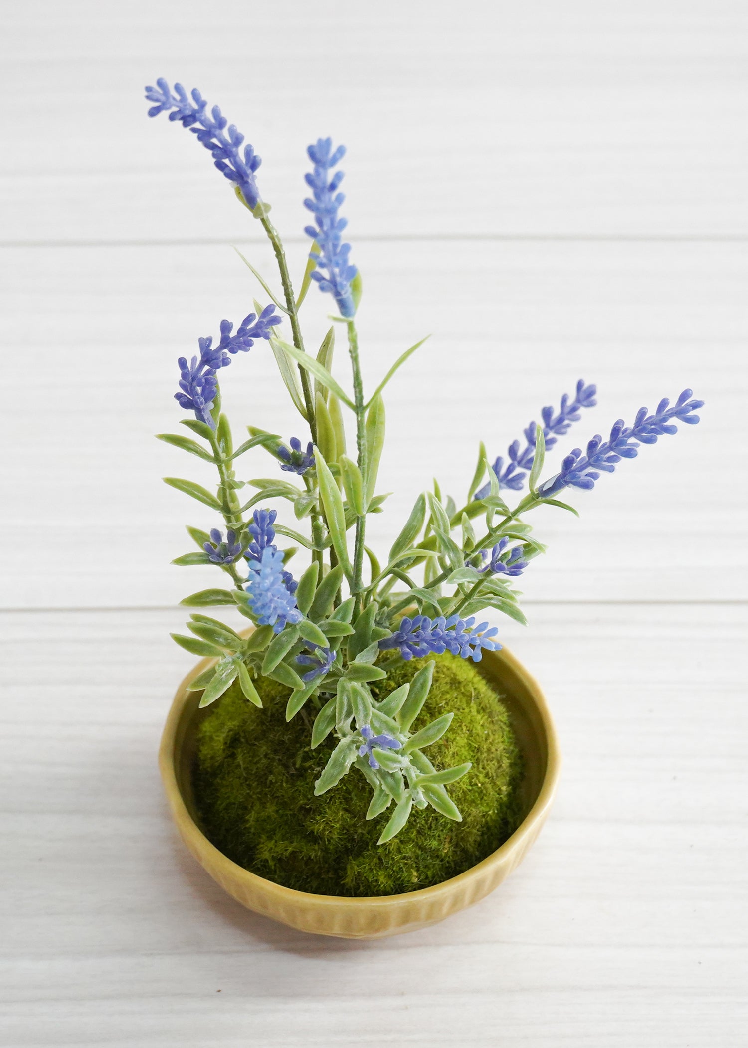 こけ玉・ラベンダー(1点物)