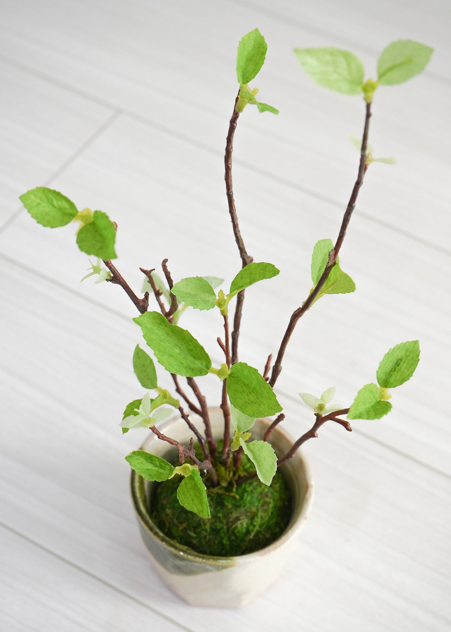 ベビーリーフ(1点物)