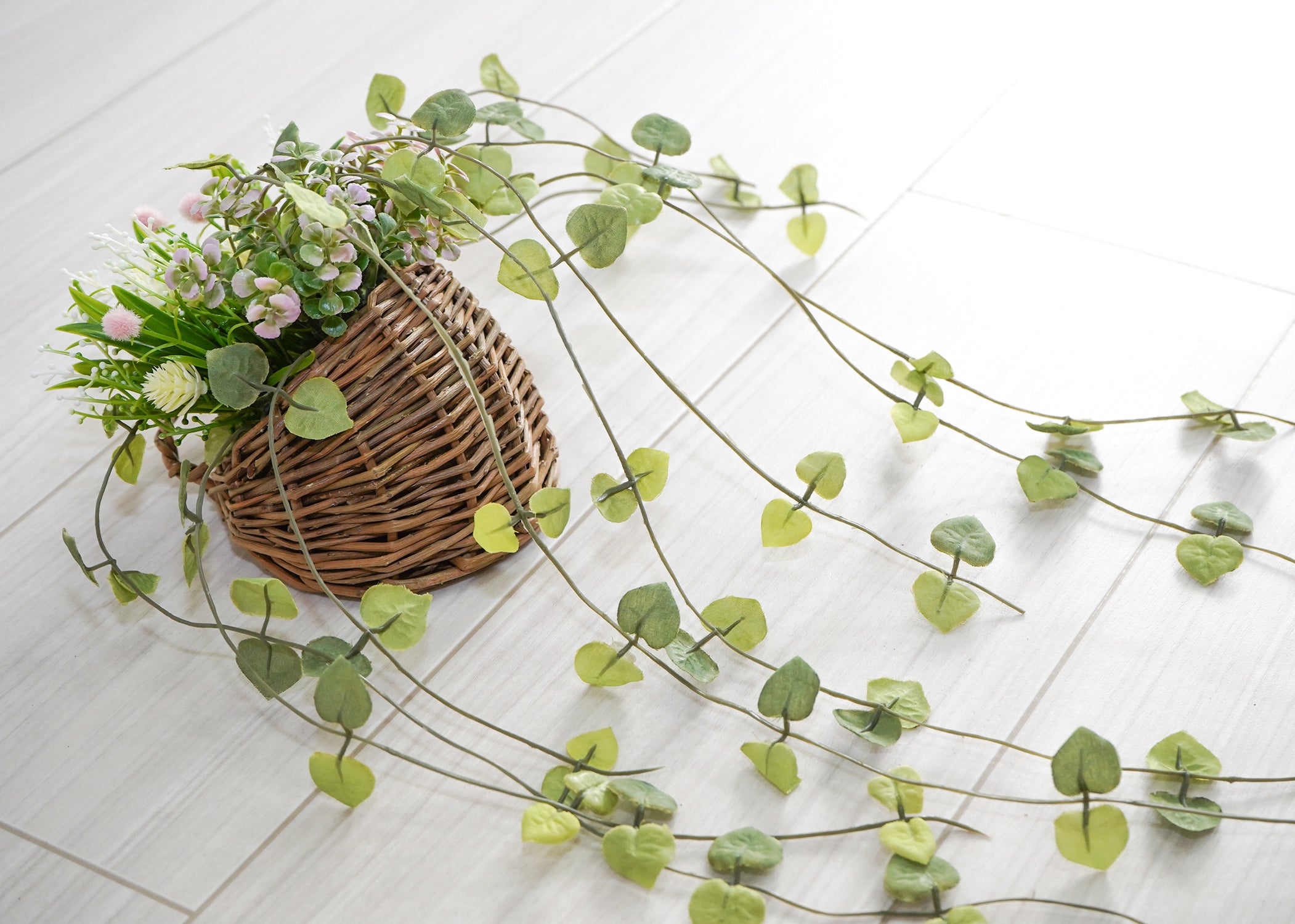 ハートカズラ(1点物)