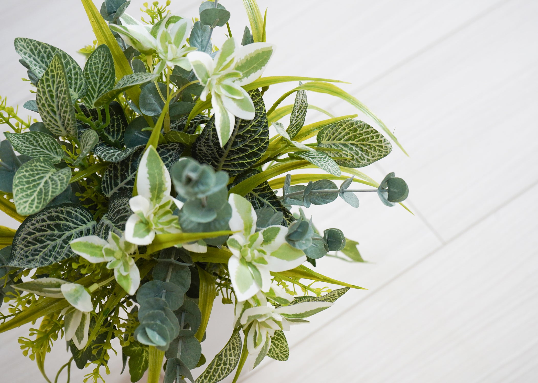 フィットニア(1点物)