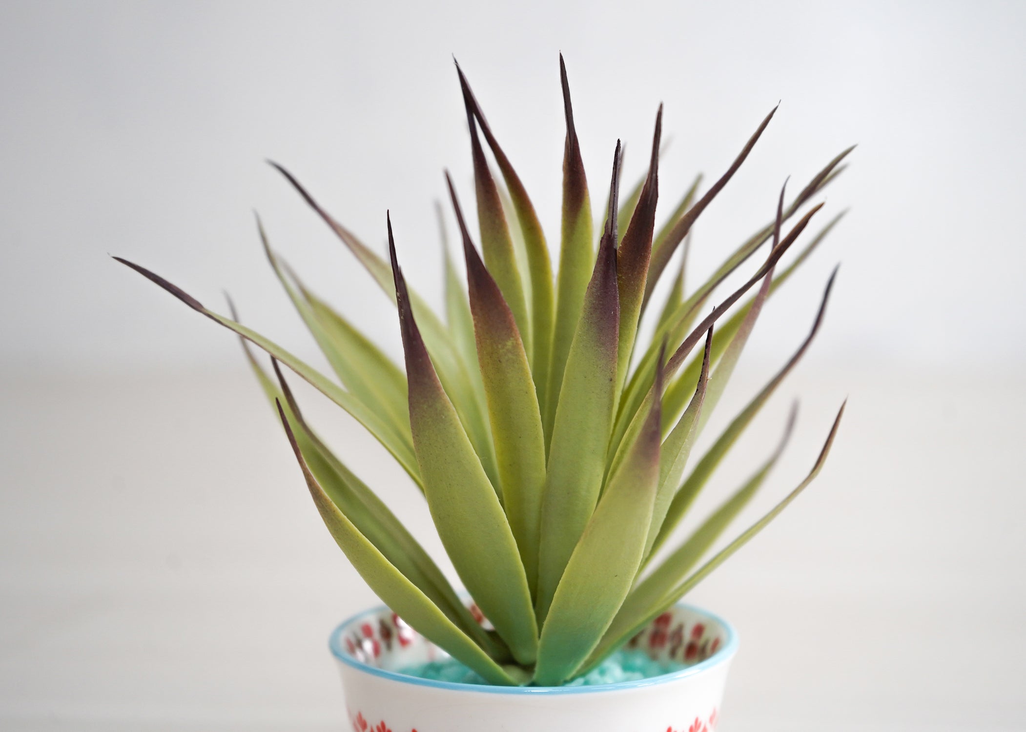 カクタス(1点物)