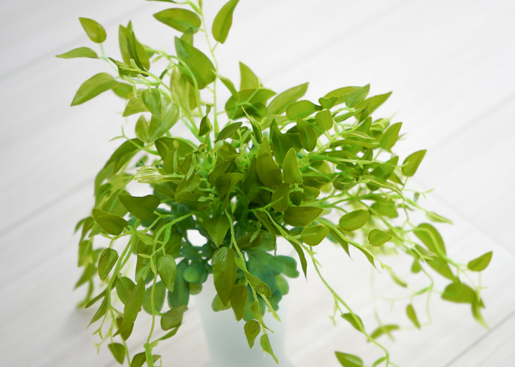 スマイラックス(1点物)