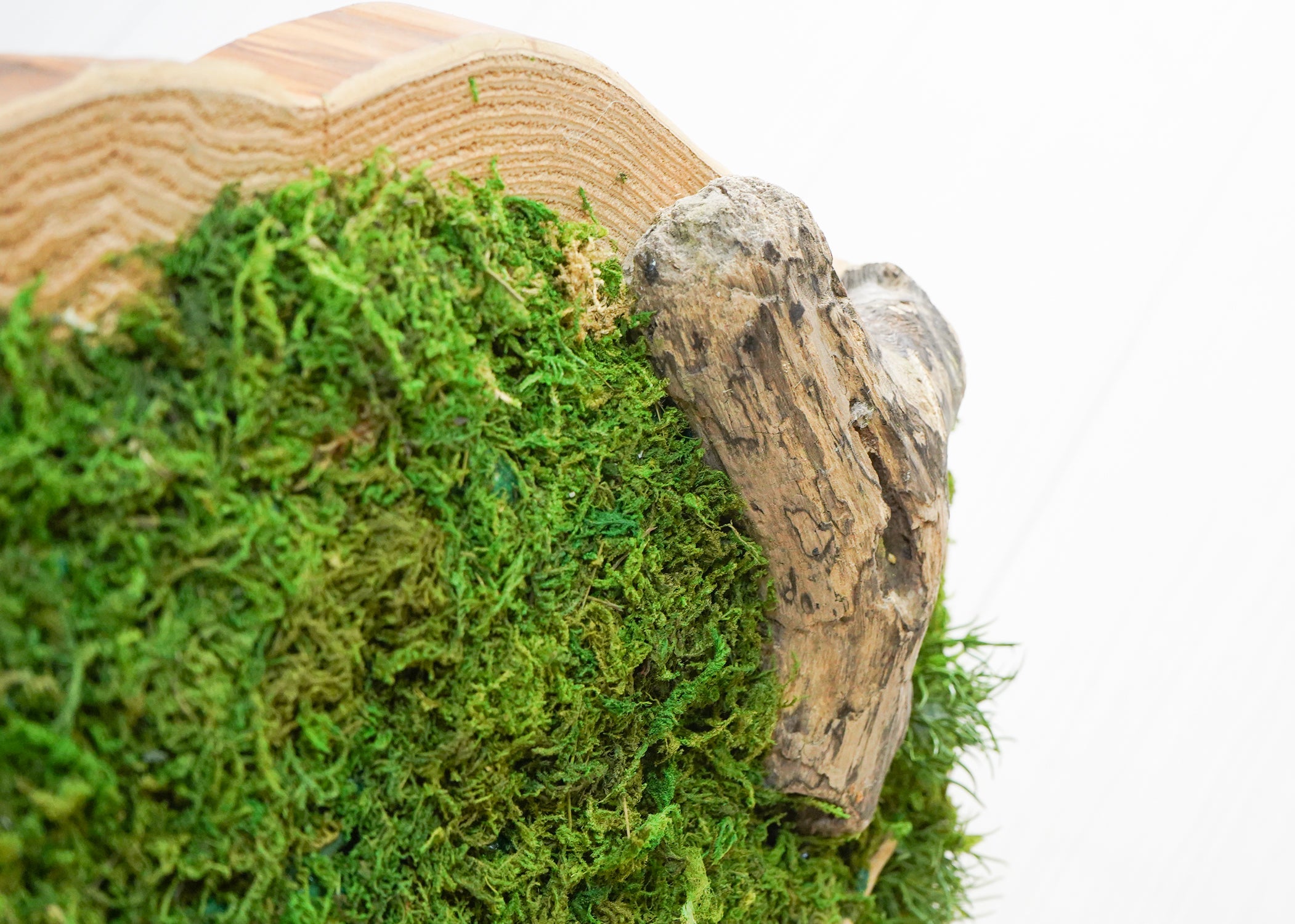 丸太オブジェ(1点物)