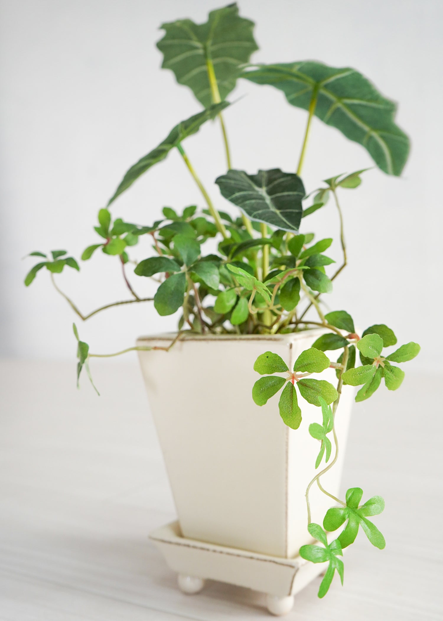 シュガーバイン・タロイモ(1点物)