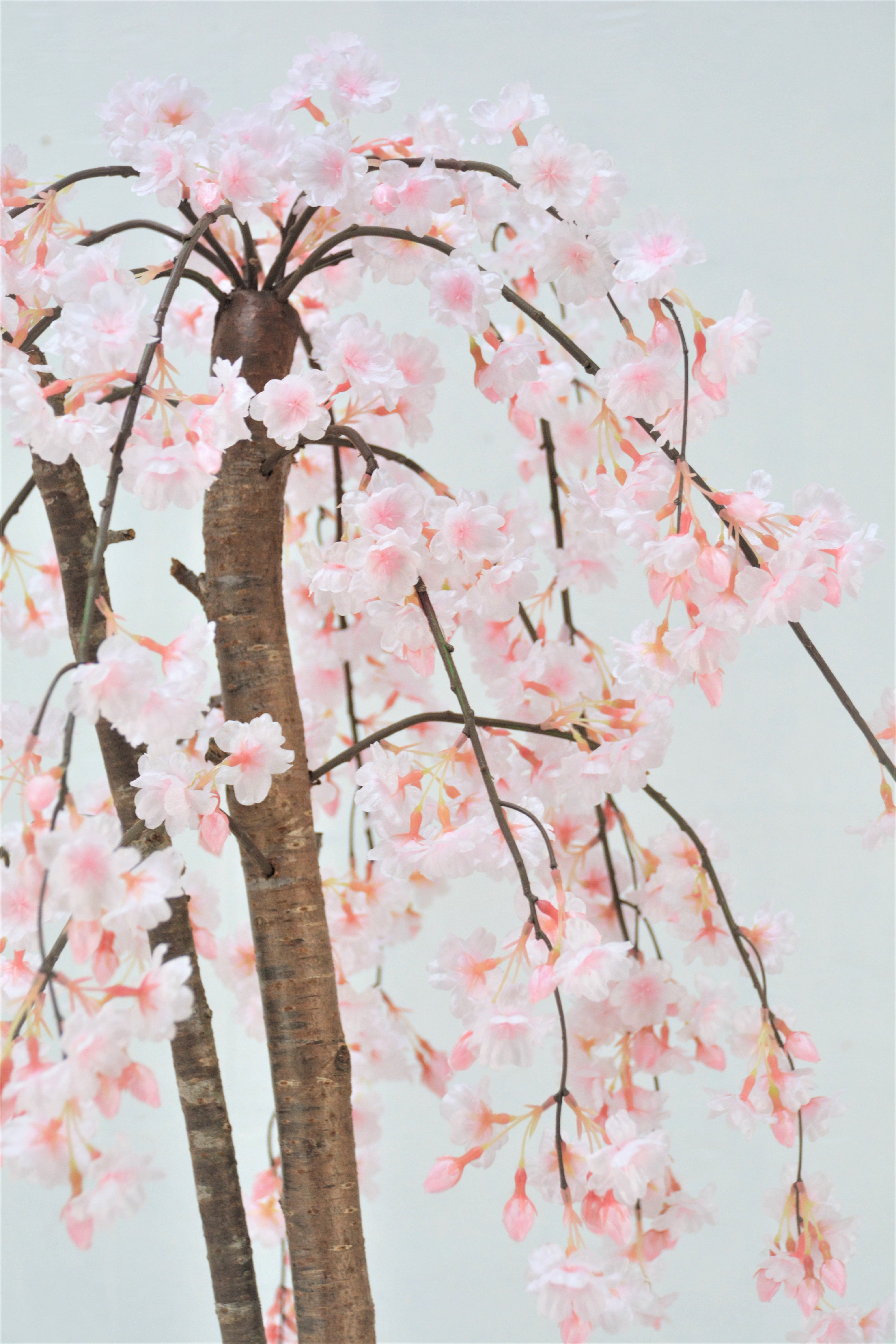 しだれ桜(1点物)