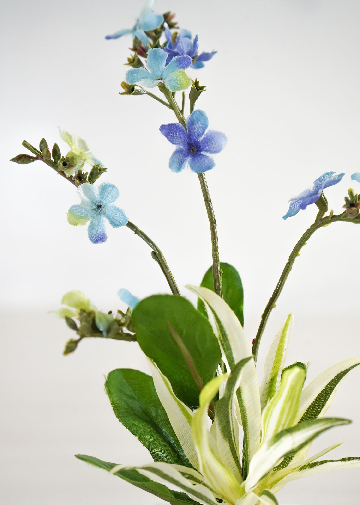 わすれな草(1点物)