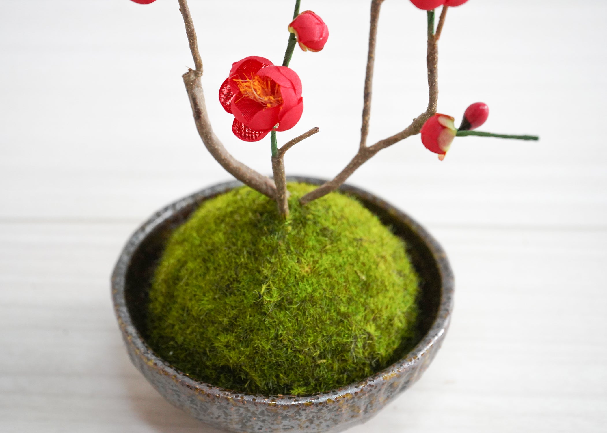 こけ玉・梅(1点物)