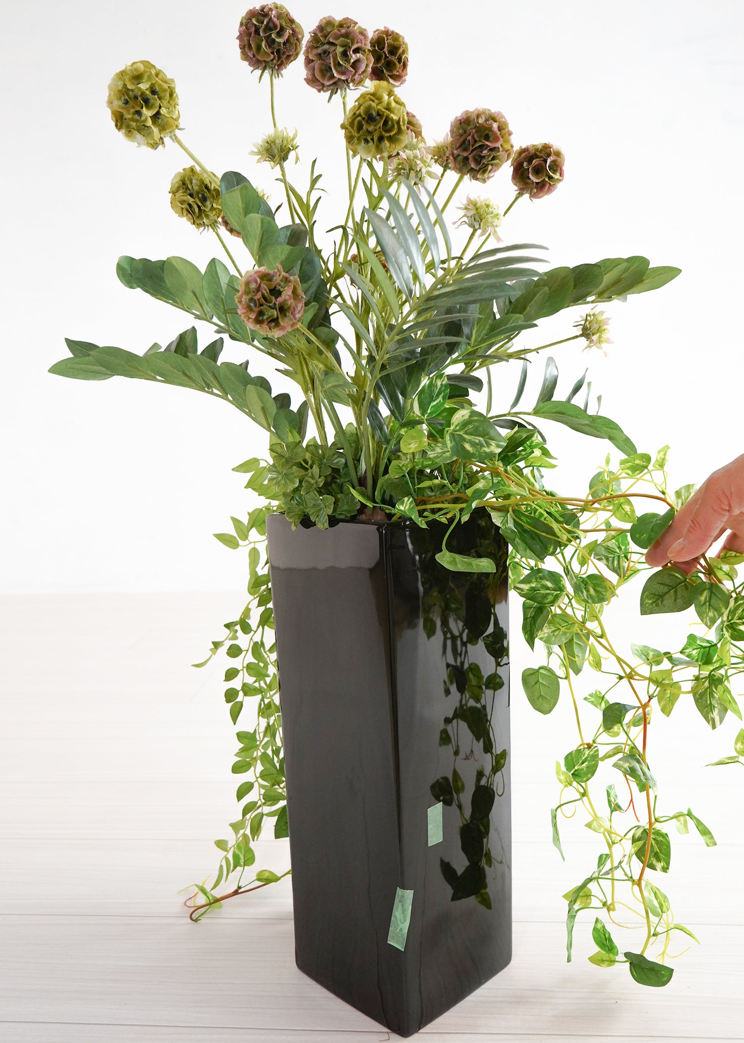 ポトス・ザミオ(1点物)