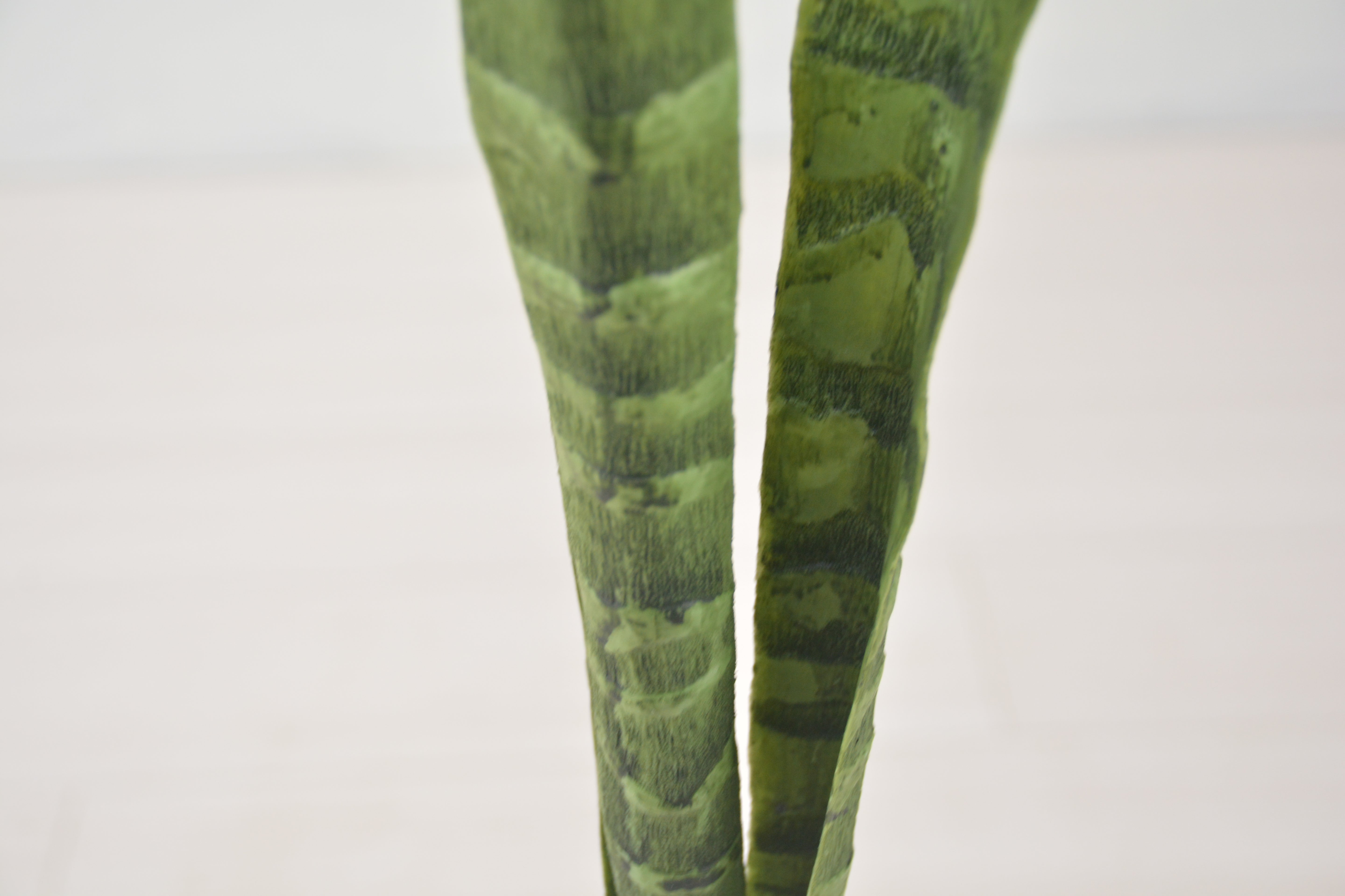 サンセベリア(1点物)