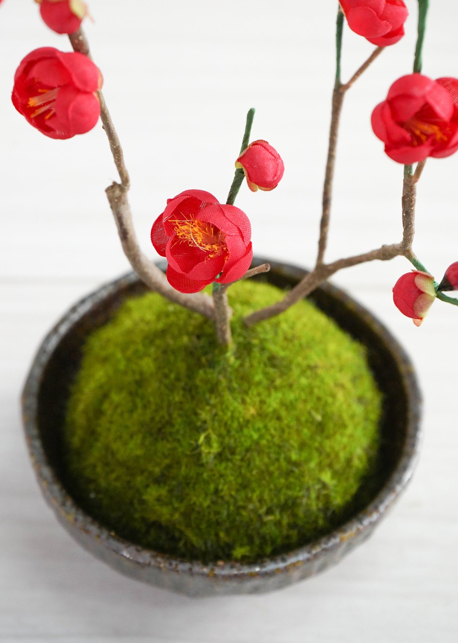 こけ玉・梅(1点物)