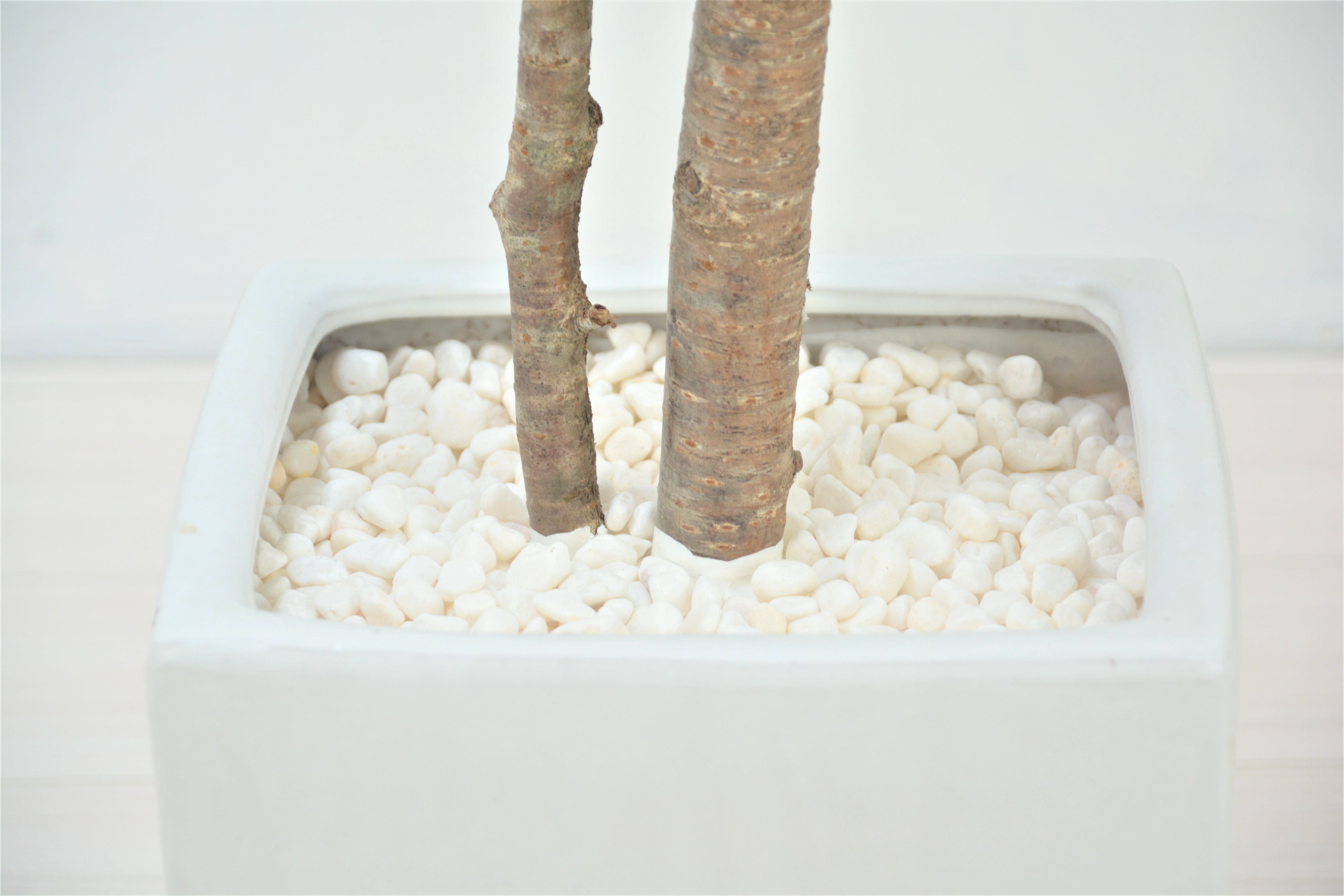 しだれ桜(1点物)