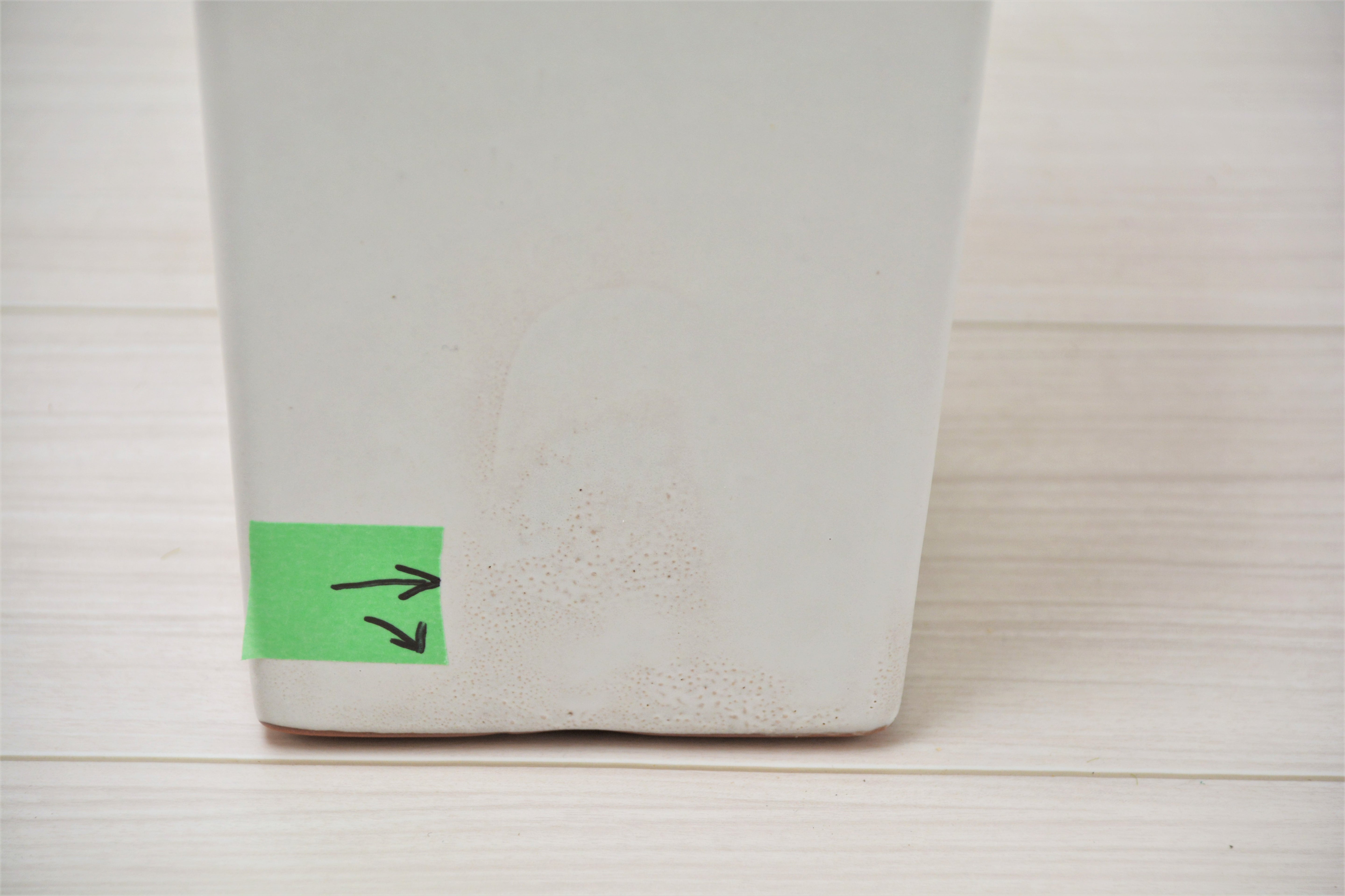 サンセベリア(1点物)