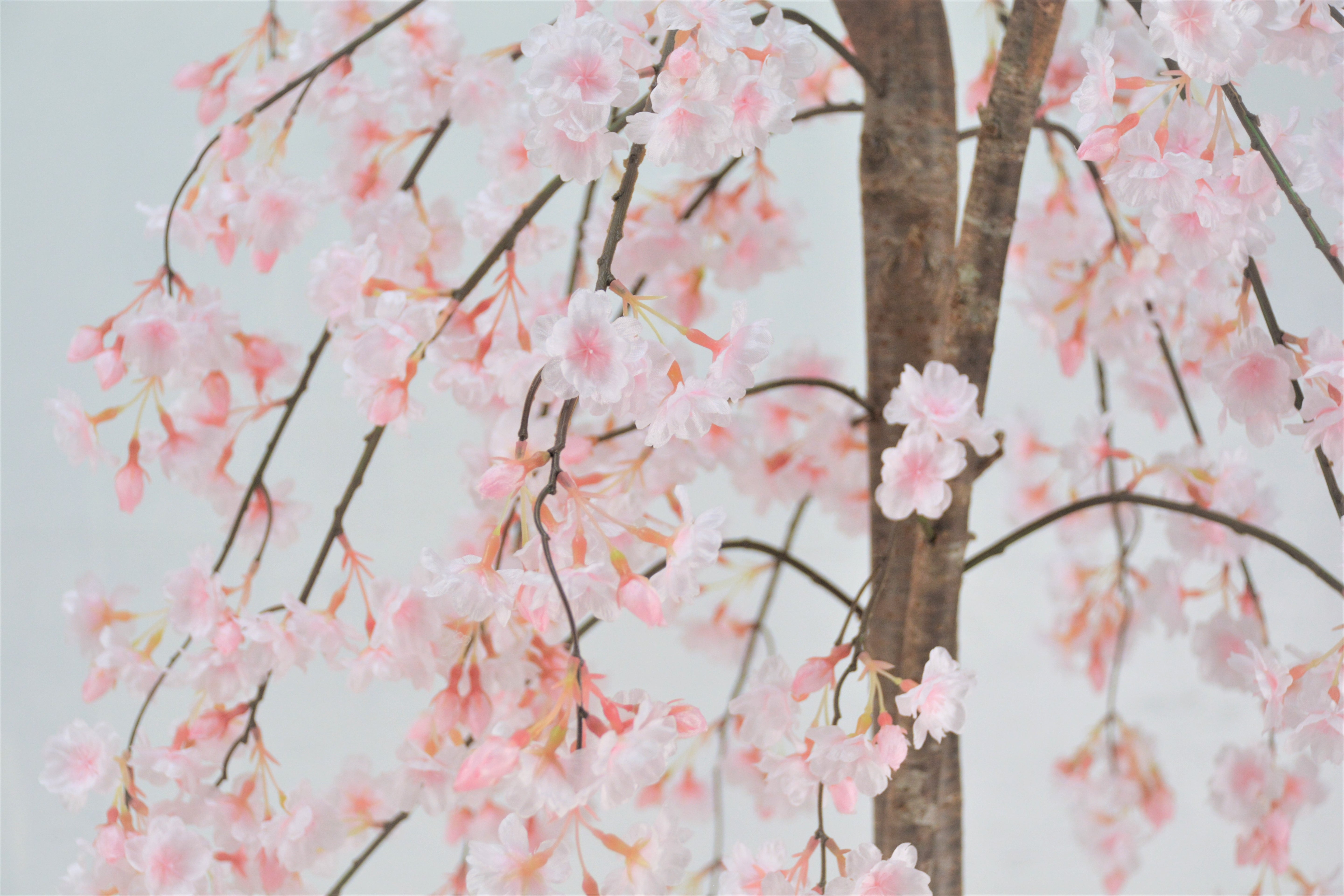 しだれ桜(1点物)