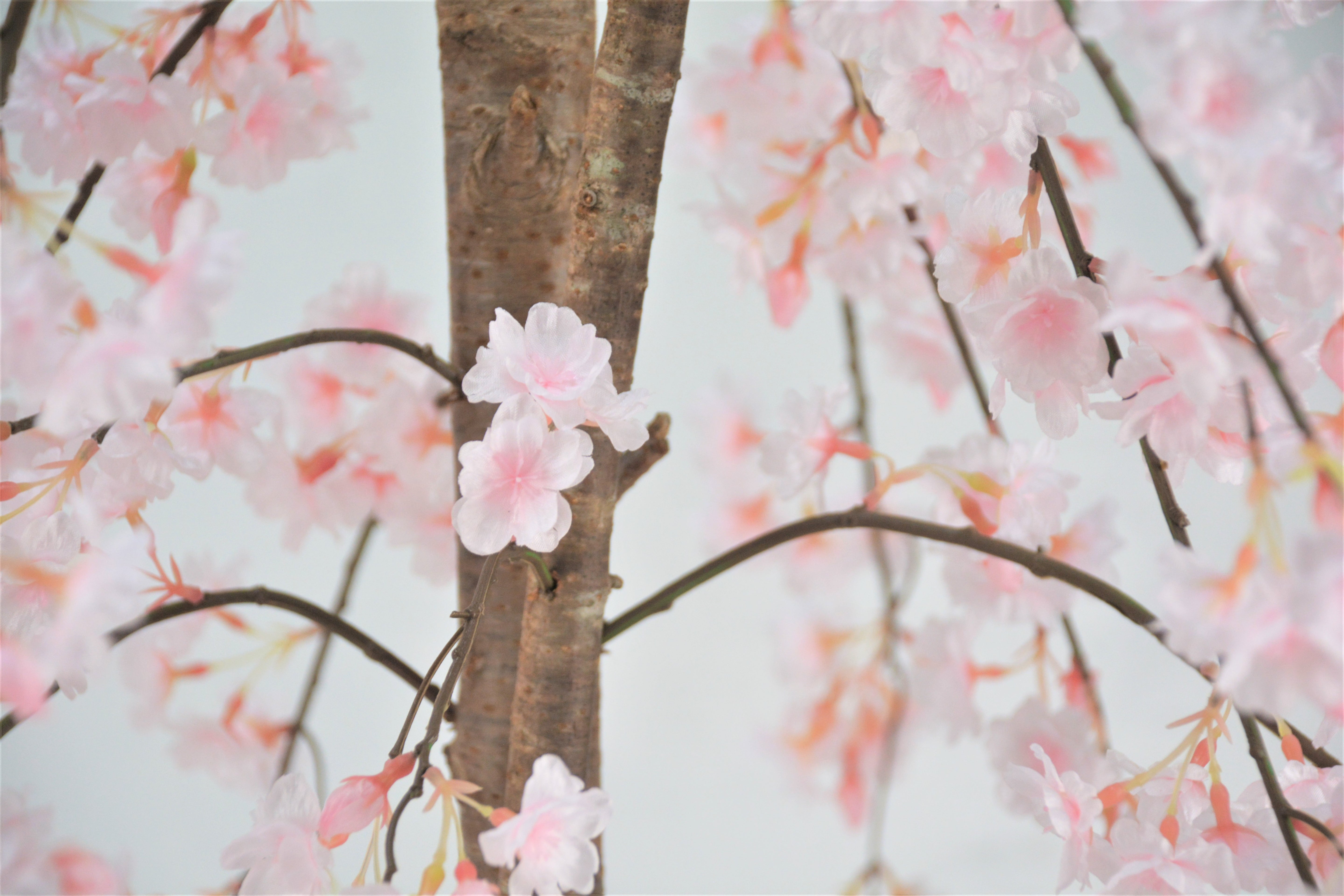 しだれ桜(1点物)