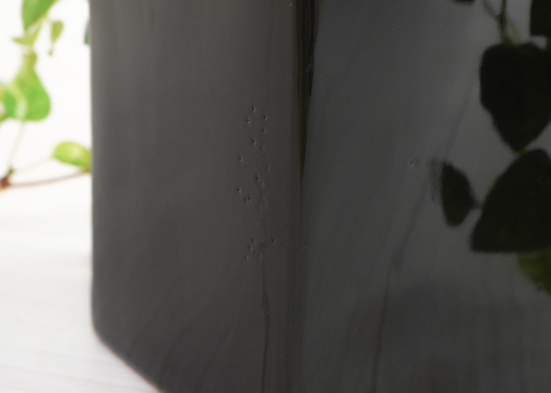 ポトス・ザミオ(1点物)