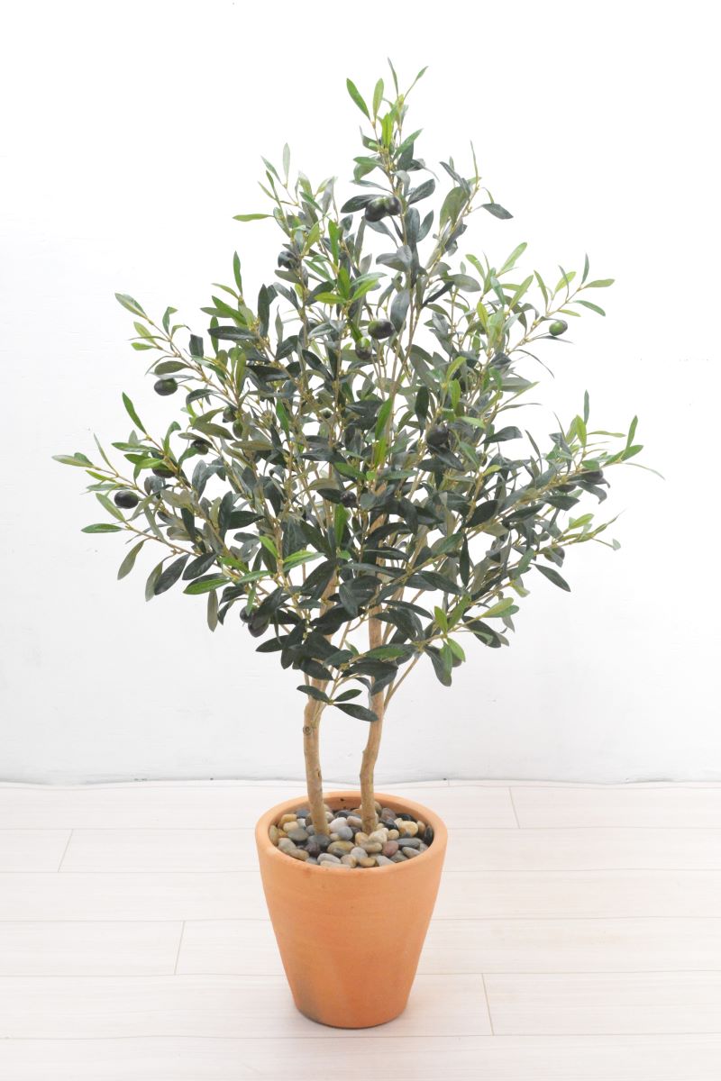 オリーブ(1点物)