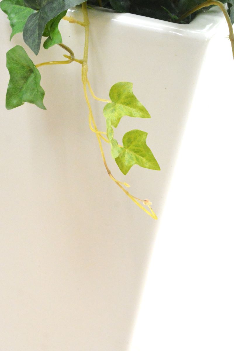 ストレチア(1点物)