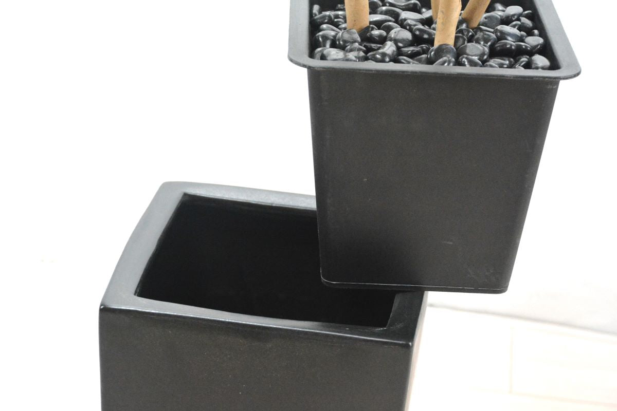 ミニベンジャミン(1点物)